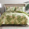 Palm-Delight_lg-1jpg