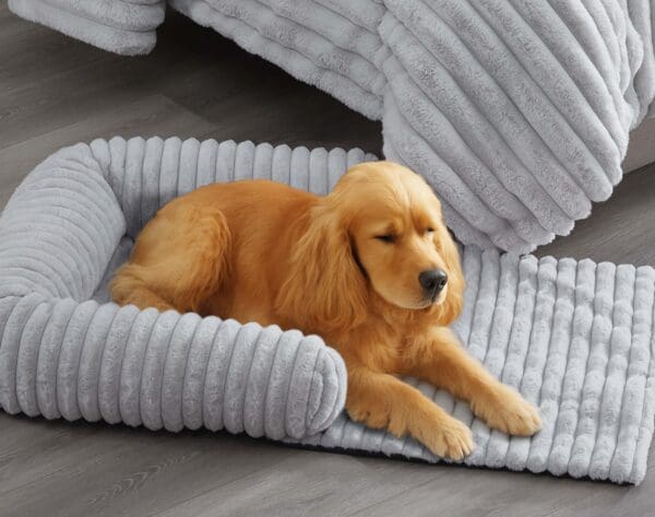 CHAISE SOFA GRAY MEDIUME 2