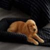 CHAISE SOFA MEDUM BLK 2