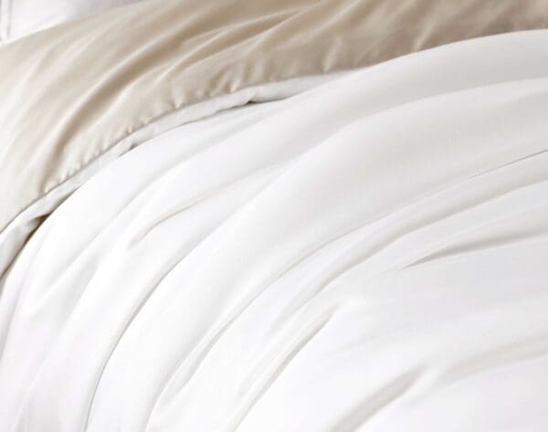 royaltencel_white_1_lgjpg