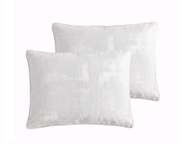 BLANCHE - SHAMS SILO