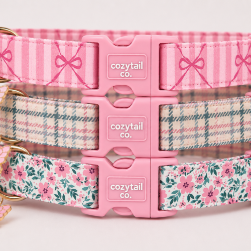 Pet Collars/Leashes and Harnesses