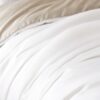 royaltencel_white_1_lgjpg